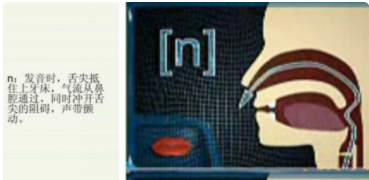 n和l的发音的窍门