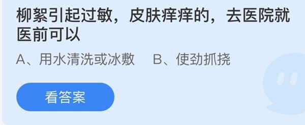 柳絮引起过敏皮肤痒痒的去医院就医前可以