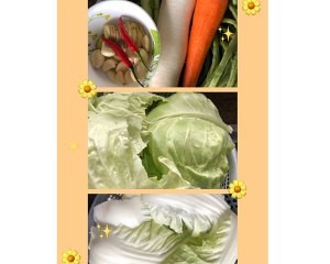 如何制作自制爽口四川泡菜
