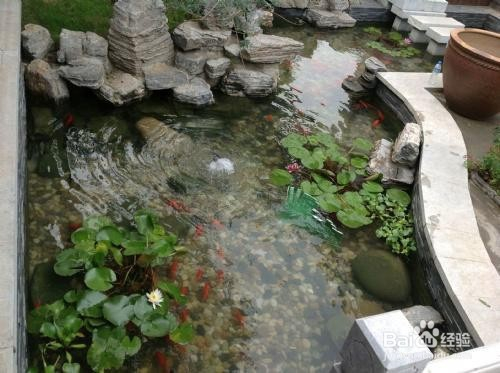 鱼池翻水板怎么办