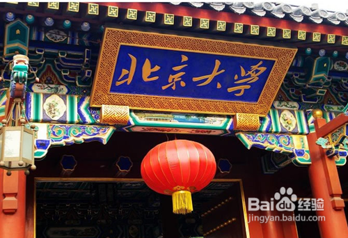 高考怎么填志愿