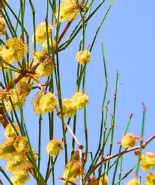 美容生活小常识1