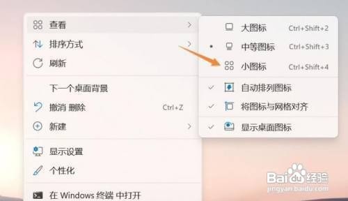 Win11怎么设置桌面图标大小