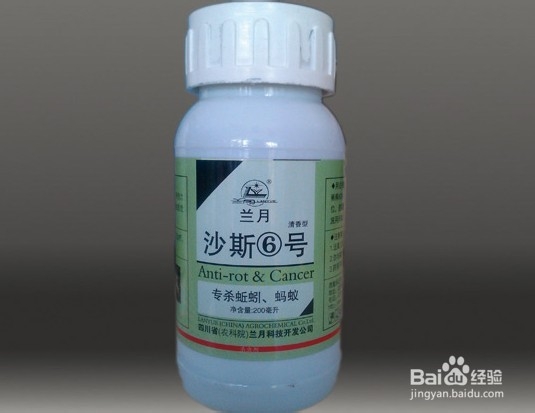 家庭种菜：[12]怎样防治蚯蚓的危害