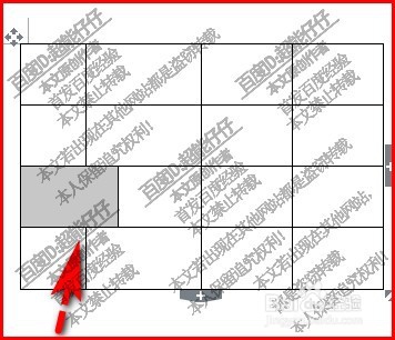 WPS文字如何调整表格单元格大小?