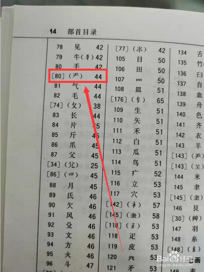 掰字怎么用部首查字典