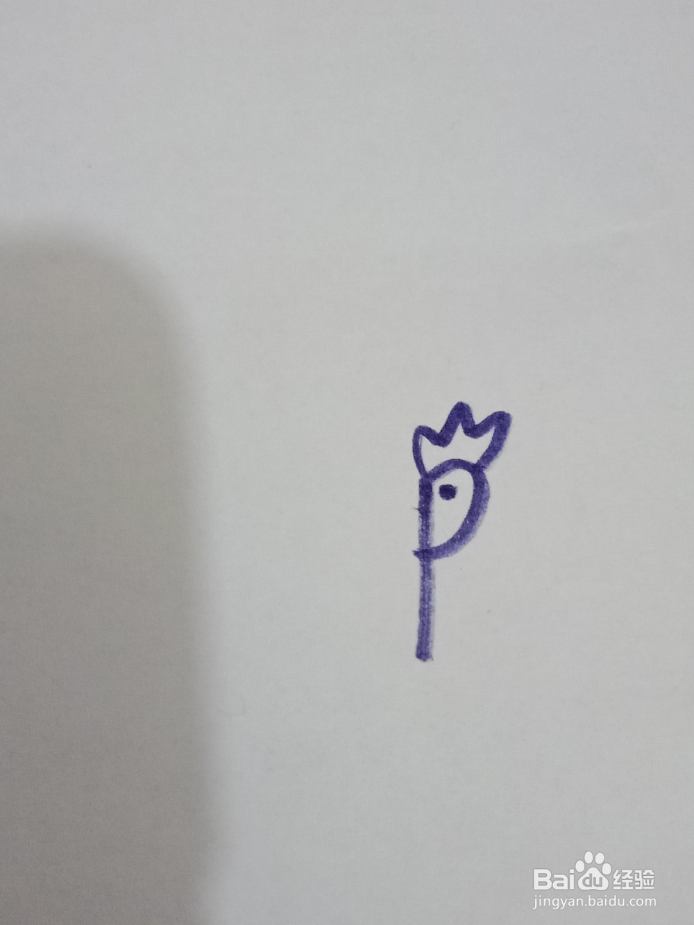 孔雀开屏简笔画