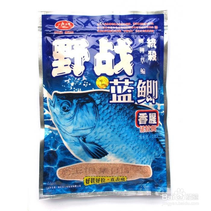 如何迅速学会钓鱼