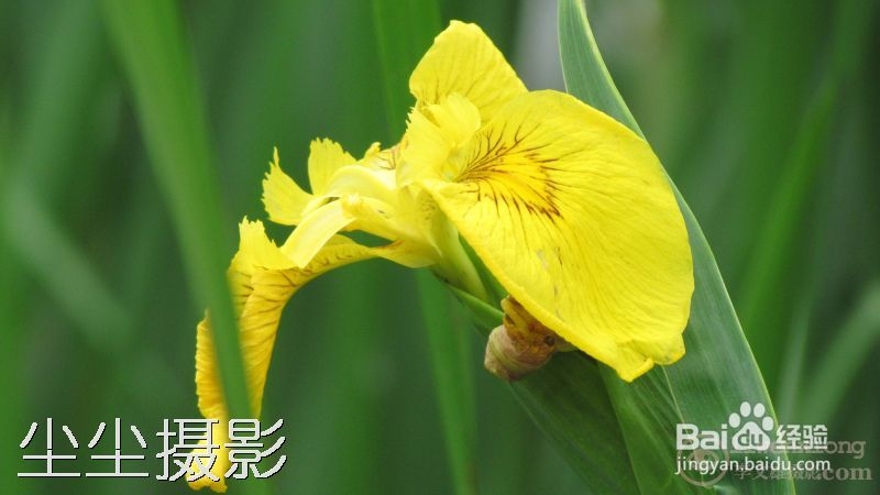 如何批量给图片添加水印