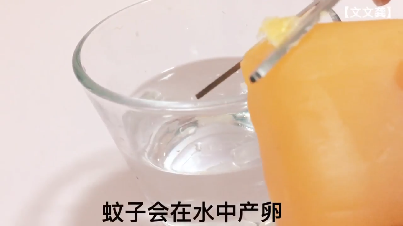 如何自制捕蚊虫水