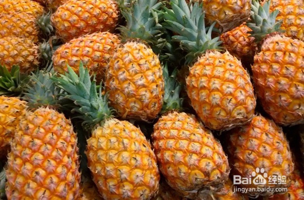 如何选购菠萝