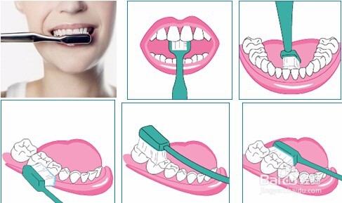 牙齿为什么会黄