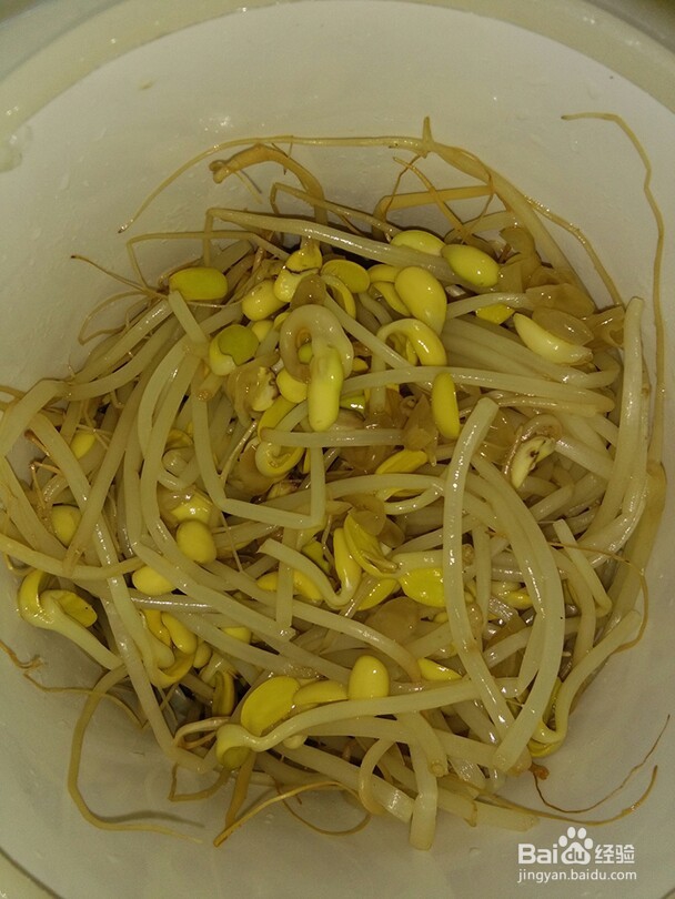 糊辣鸡丝黄豆芽