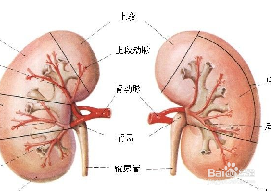 生气动怒有哪些危害