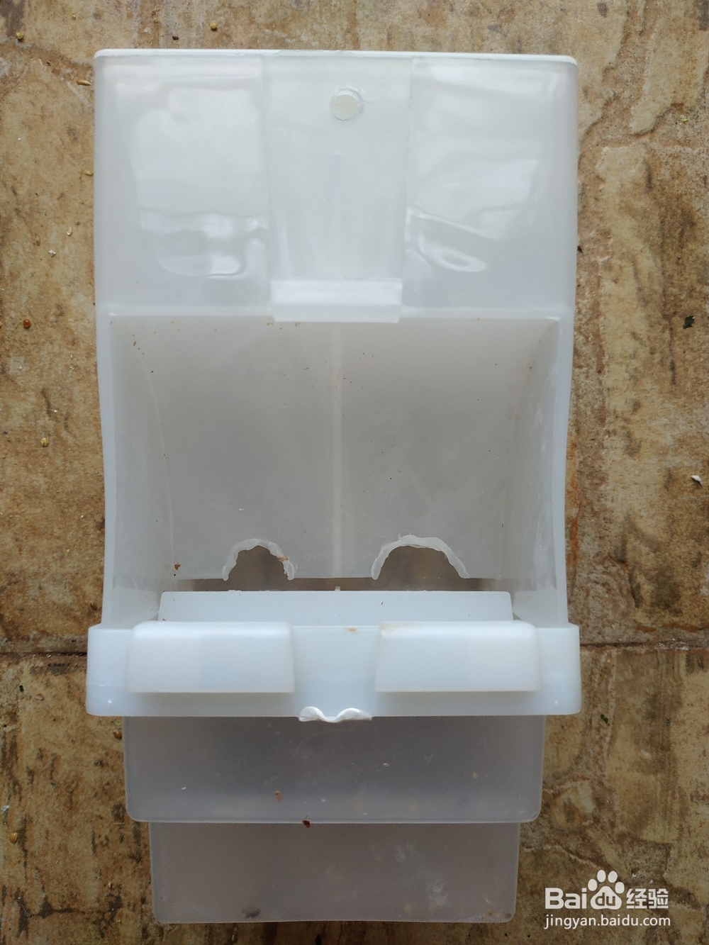 过年期间不在家,宠物鸟怎么办?