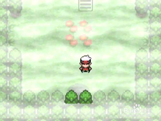 究极绿宝石5迷途之森怎么走