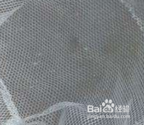 香肠挂阳台怎么防鸟吃