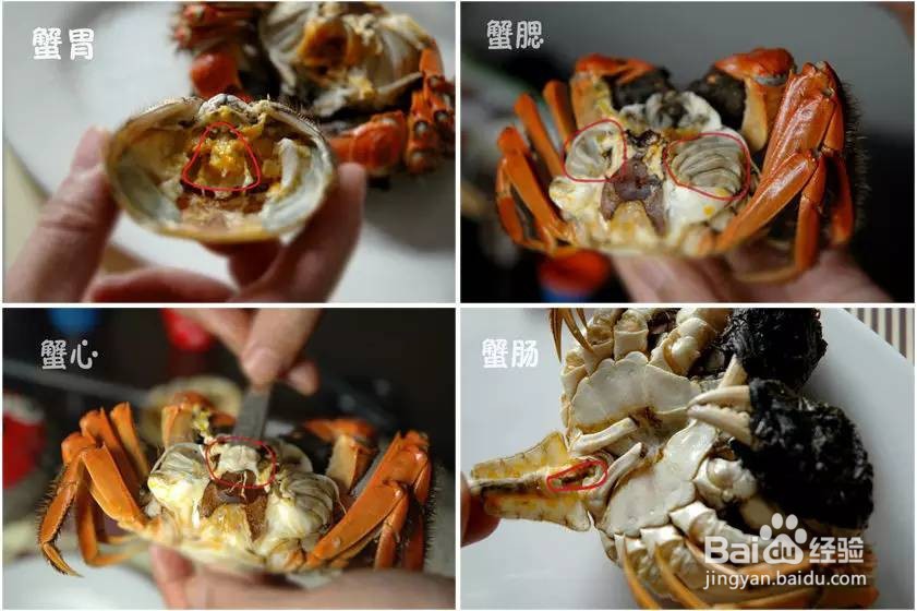 吃大闸蟹的禁忌