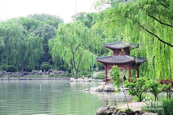 北京“紫竹院