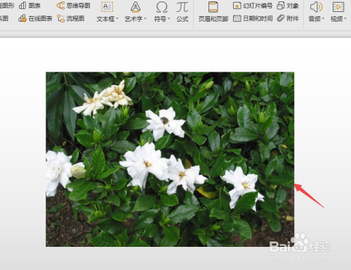 PPT的制作【WPS怎么做PPT】?