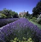 浪漫婚礼城市有哪些