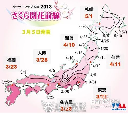 去日韩欣旅游赏樱花攻略