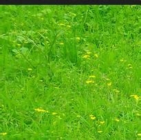 监理施工要点46