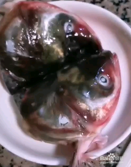 爽辣剁椒鱼头