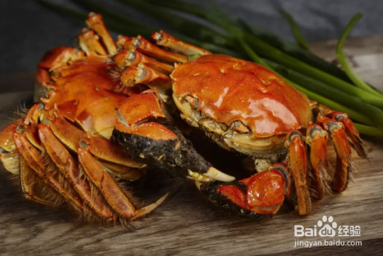 为什么大闸蟹这么贵