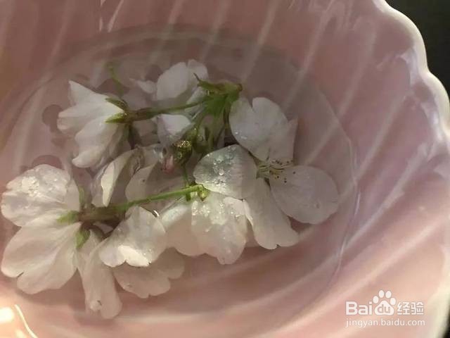 怎么用雪碧做水信玄饼