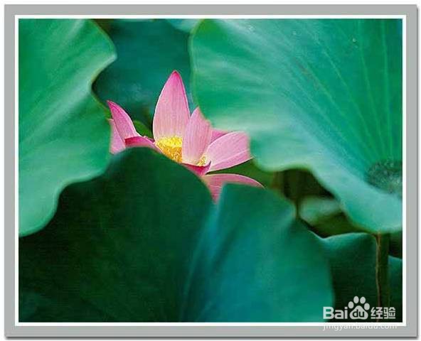 解析函数y=√(19-2x)的单调和凸凹等性质