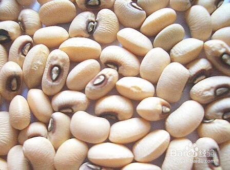 夏季吃什么护心