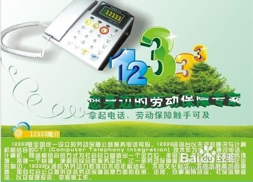 怎样查社保缴费明细