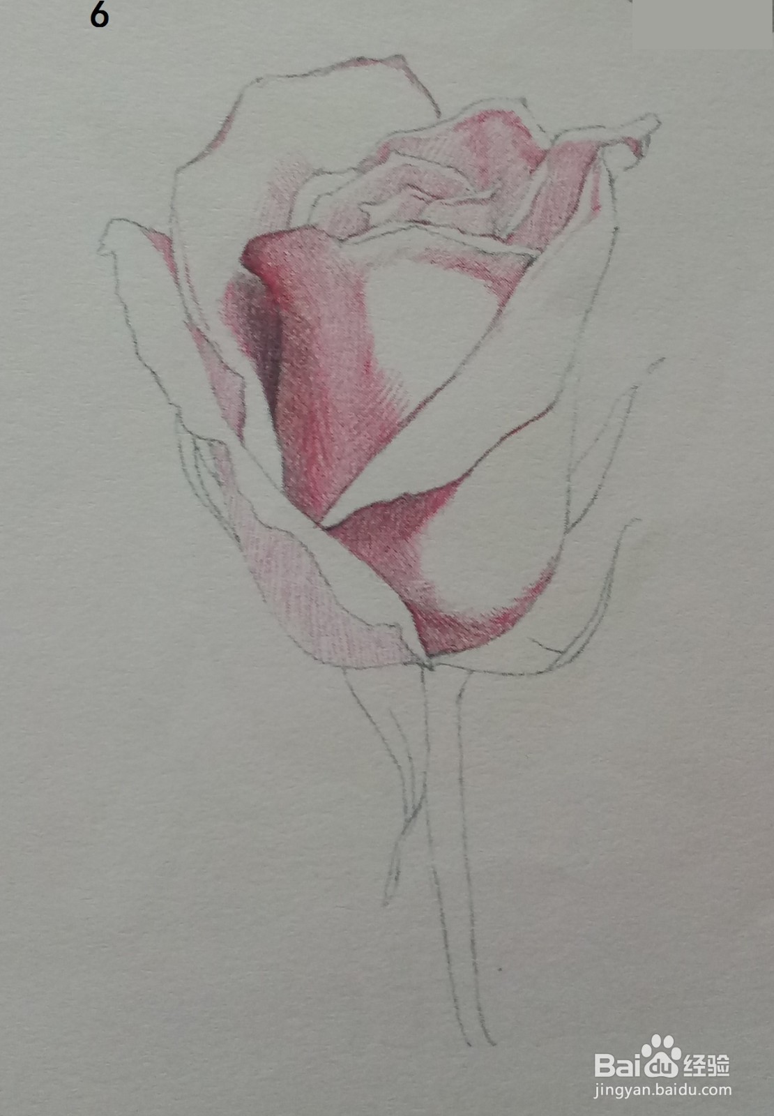 色铅笔画一朵红玫瑰(素描进阶)