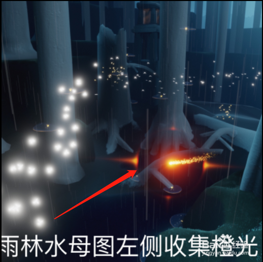 光遇11.24每日任务怎么完成