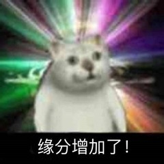 WPS如何选择关于沙雕猫的表情包
