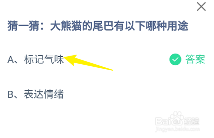 蚂蚁庄园答案大熊猫的尾巴有以下哪种用途
