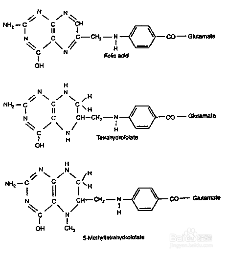 关于L-甲基叶酸盐（5-MTHF）的说明