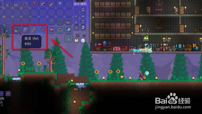 泰拉瑞亚藤蔓怎么获得