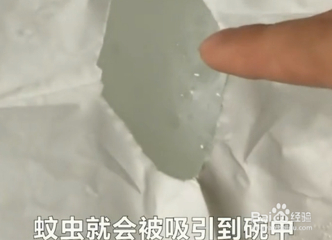 如何掌握预防蚊虫小技巧？