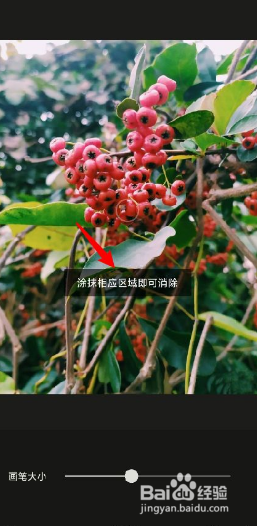 醒图如何去掉水印