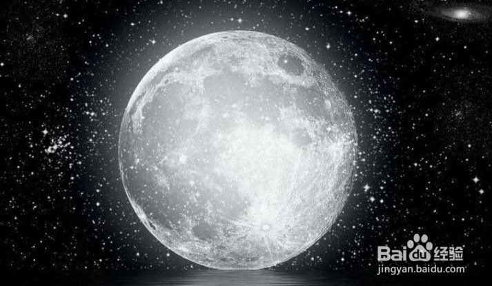 蚂蚁庄园地球的南极答案是什么