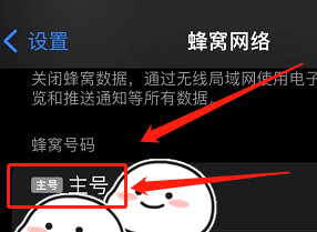 苹果13怎么切换主副卡