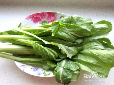 蚝油水东芥菜