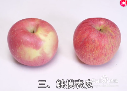 如何挑选苹果才会水分多又甜？