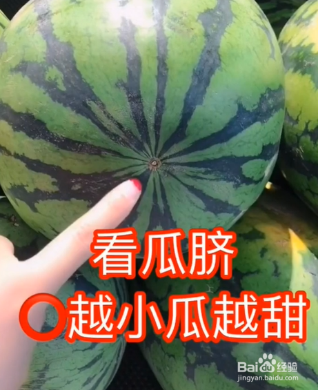如何挑选西瓜？