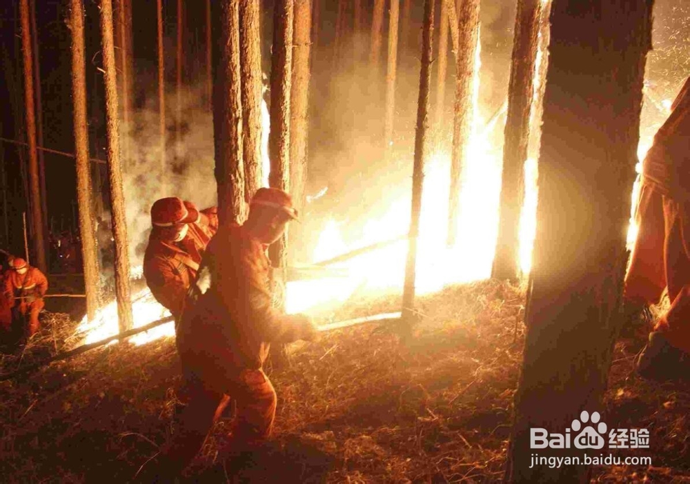 野外如何防止森林火灾，如何自救