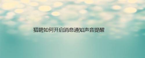 猎聘如何开启消息通知声音提醒