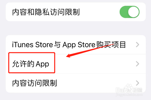 苹果手机摄像头黑屏拍不了照
