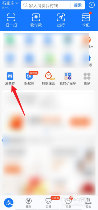 支付宝如何查看我的消费券
